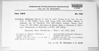 Image Associated With the Occurence